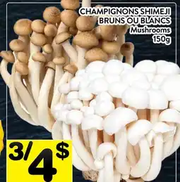 Supermarché PA CHAMPIGNONS SHIMEJI BRUNS OU BLANCS │ Mushrooms offer