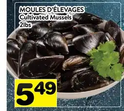 Supermarché PA MOULES D'ÉLEVAGES │ CULTIVATED MUSSELS offer
