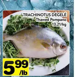 Supermarché PA TRACHINOTUS DÉGELÉ │ Thawed Pompano offer