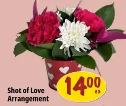 Farm Boy Shot of Love Arrangement offer