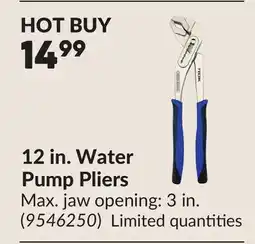 Princess Auto 12 in. Water Pump Pliers offer