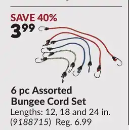 Princess Auto 6 pc Assorted Bungee Cord Set offer