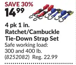 Princess Auto 4 pk 1 in. Ratchet/Cambuckle Tie-Down Strap Set offer