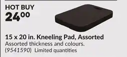 Princess Auto 15 x 20 in. Kneeling Pad, Assorted offer