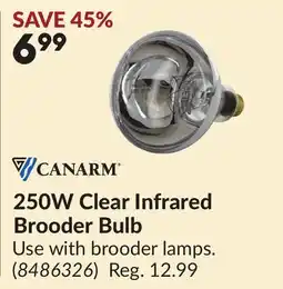 Princess Auto 250W Clear Infrared Brooder Bulb offer