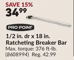 Princess Auto 1/2 in. dr x 18 in. Ratcheting Breaker Bar offer