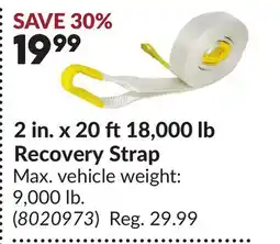 Princess Auto 2 in. x 20 ft18,000 lb Recovery Strap offer