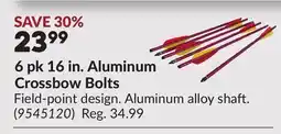 Princess Auto 6 pk 16 in. Aluminum Crossbow Bolts offer