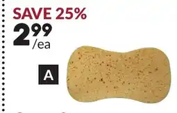 Princess Auto Grout Sponges offer