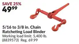 Princess Auto 5/16 to 3/8 in. Chain Ratcheting Load Binder offer