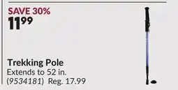 Princess Auto Trekking Pole offer