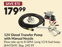 Princess Auto 12V Diesel Transfer Pump with Manual Nozzle offer