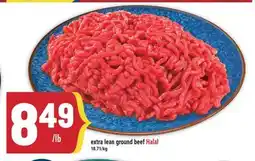 Marché Adonis Extra lean ground beef Halal offer