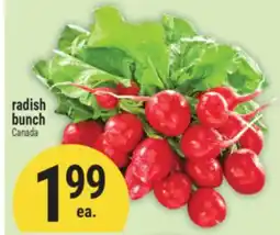 Marché Adonis Radish bunch offer