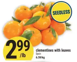 Marché Adonis clementines with leaves offer