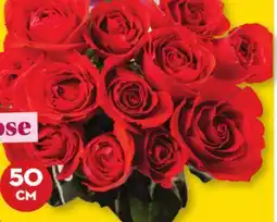 Giant Tiger 50 cm dozen roses offer