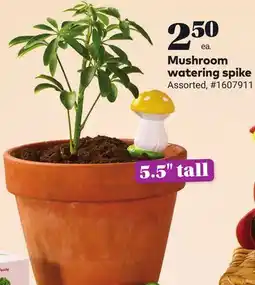 Giant Tiger Mushroom watering spike offer