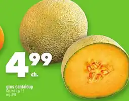 Marche Ami GROS CANTALOUP offer