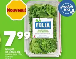 Marche Ami BOUQUET DE LAITUE FOLIA offer