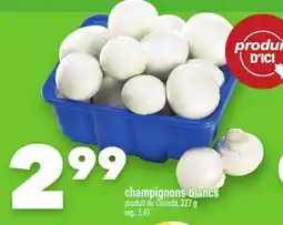 Marche Ami CHAMPIGNONS BLANCS offer