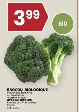 Rachelle-Bery Grocery ORGANIC BROCCOLI offer