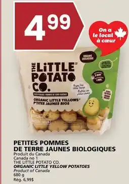 Rachelle-Bery Grocery THE LITTLE POTATO CO. ORGANIC LITTLE YELLOW POTATOES offer