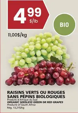 Rachelle-Bery Grocery ORGANIC SEEDLESS GREEN OR RED GRAPES offer