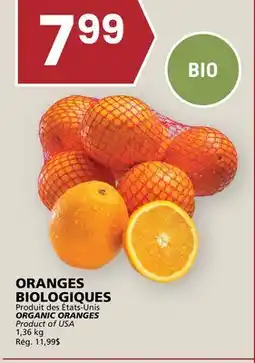 Rachelle-Bery Grocery ORGANIC ORANGES offer
