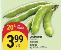 Marché Adonis GOURGANES | FAVA BEANS offer