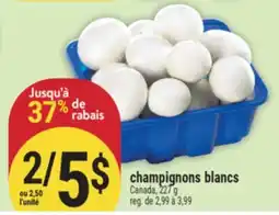 Marché Adonis CHAMPIGNONS BLANCS offer