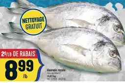 Marché Adonis DAURADE ROYALE | ROYAL SEA BREAM offer