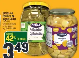 Marché Adonis LUPINS OU FEUILLES DE VIGNE CEDAR | CEDAR LUPINI BEANS OR VINE LEAVES offer