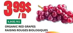 Marches Tau RAISINS ROUGES BIOLOGIQUES offer