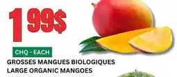 Marches Tau GROSSES MANGUES BIOLOGIQUES offer