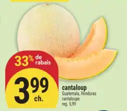 Marché Adonis CANTALOUP | CANTALOUPE offer