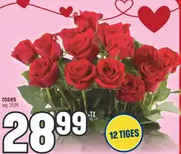 Marché Adonis ROSES offer