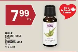 Rachelle-Bery Grocery NOW Eucalyptus ESSENTIAL OILS offer