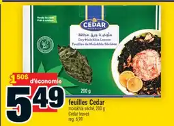 Super C feuilles Cedar | Cedar leaves offer