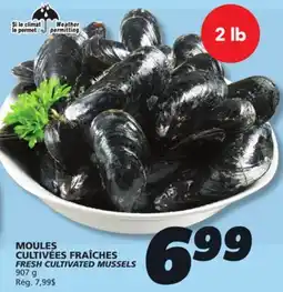 IGA FRESH CULTIVATED MUSSELS offer