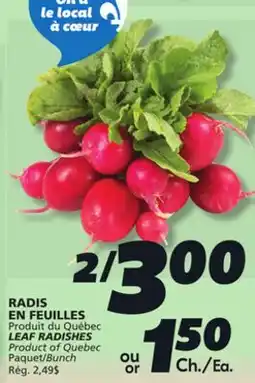 IGA LEAF RADISHES offer