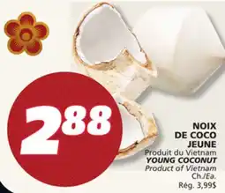 IGA YOUNG COCONUT offer