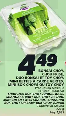 IGA FERMES TRUDEAU SHANGHAI BOK CHOY JUNIOR offer