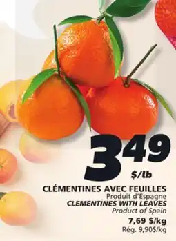 IGA CLEMENTINES WITH LEAVES offer