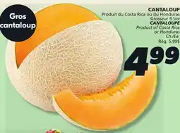 IGA CANTALOUPE offer