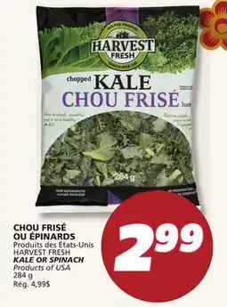 IGA HARVEST FRESH KALE OR SPINACH offer