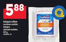 Maxi BOLOGNE LAFLEUR | BOLOGNA offer