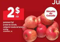 Maxi POMMES FUJI offer