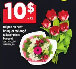 Maxi TULIPES OU PETIT BOUQUET MÉLANGÉ | TULIPS OR MIXED BOUQUET offer