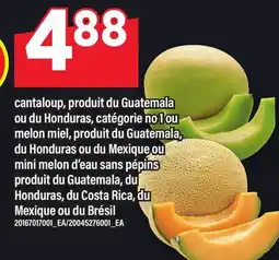 Maxi CANTALOUP, OU DU HONDURAS, CATÉGORIE NO 1 OU MELON MIEL, OU MINI MELON D'EAU SANS PÉPINS offer
