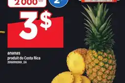 Maxi ANANAS offer